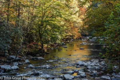 tranquility-6182-cw-6182