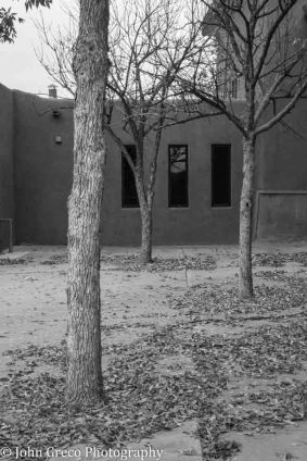 three-trees-three-lives_dsc6735-cw-6735