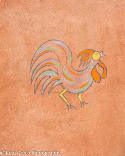 turkey_dsc6482_cw-6482