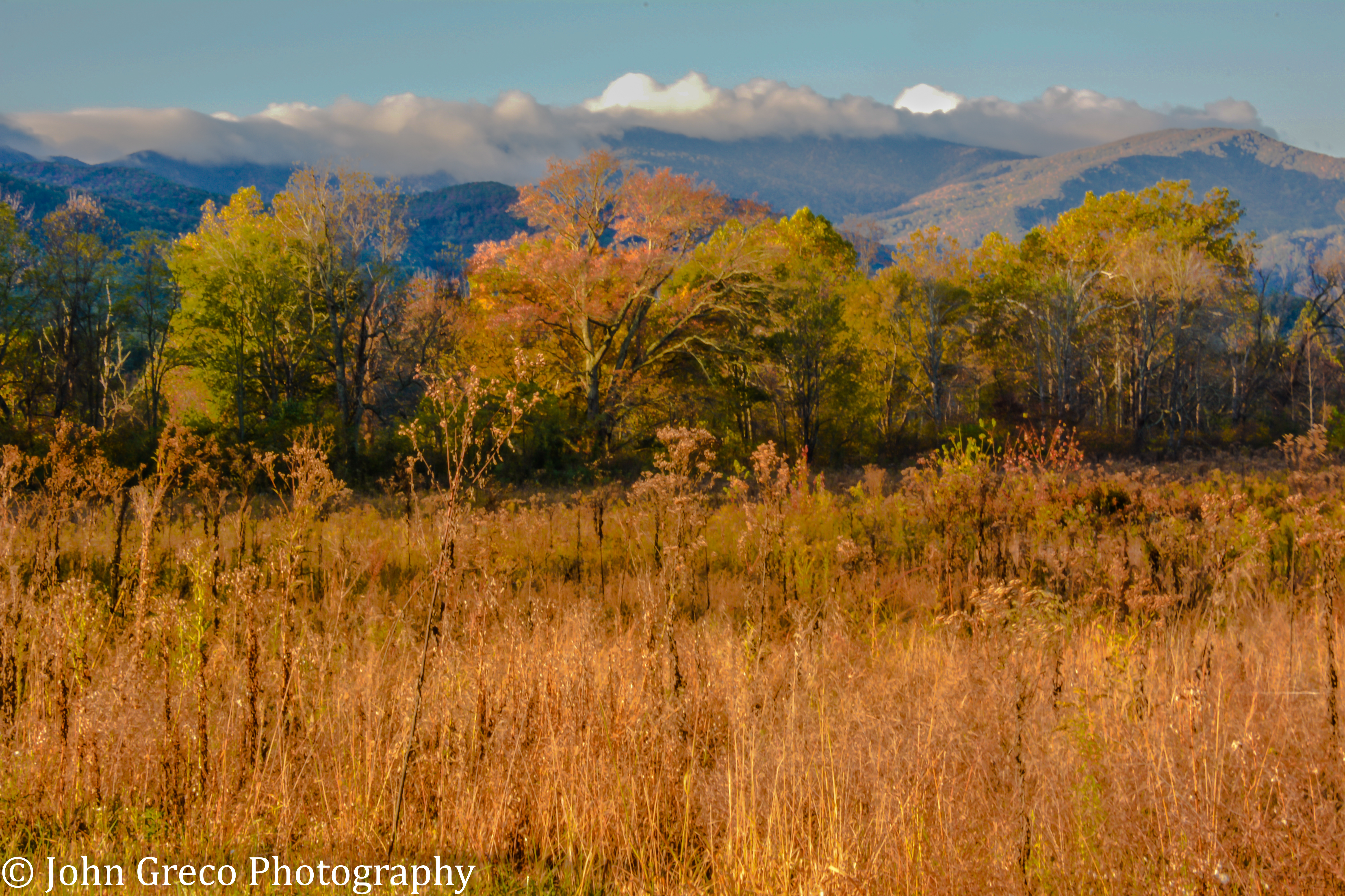 smokey-mts-final-1-of-1