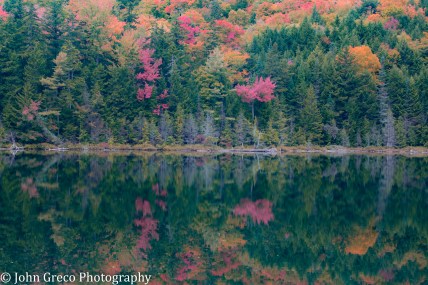 Autumn Reflection -CW-6360
