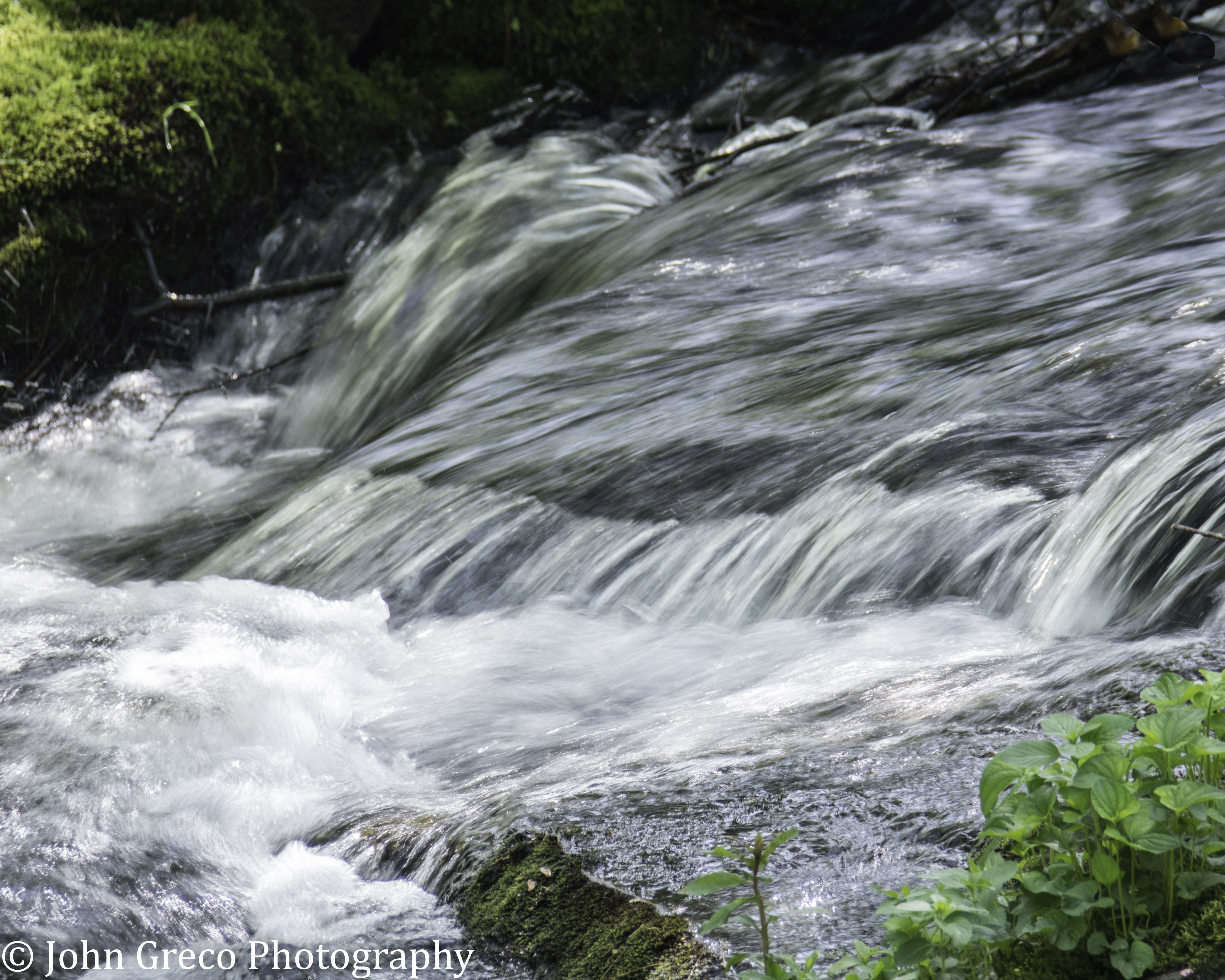 Watching the River Flow-Maine- Somesville-4273.jpg