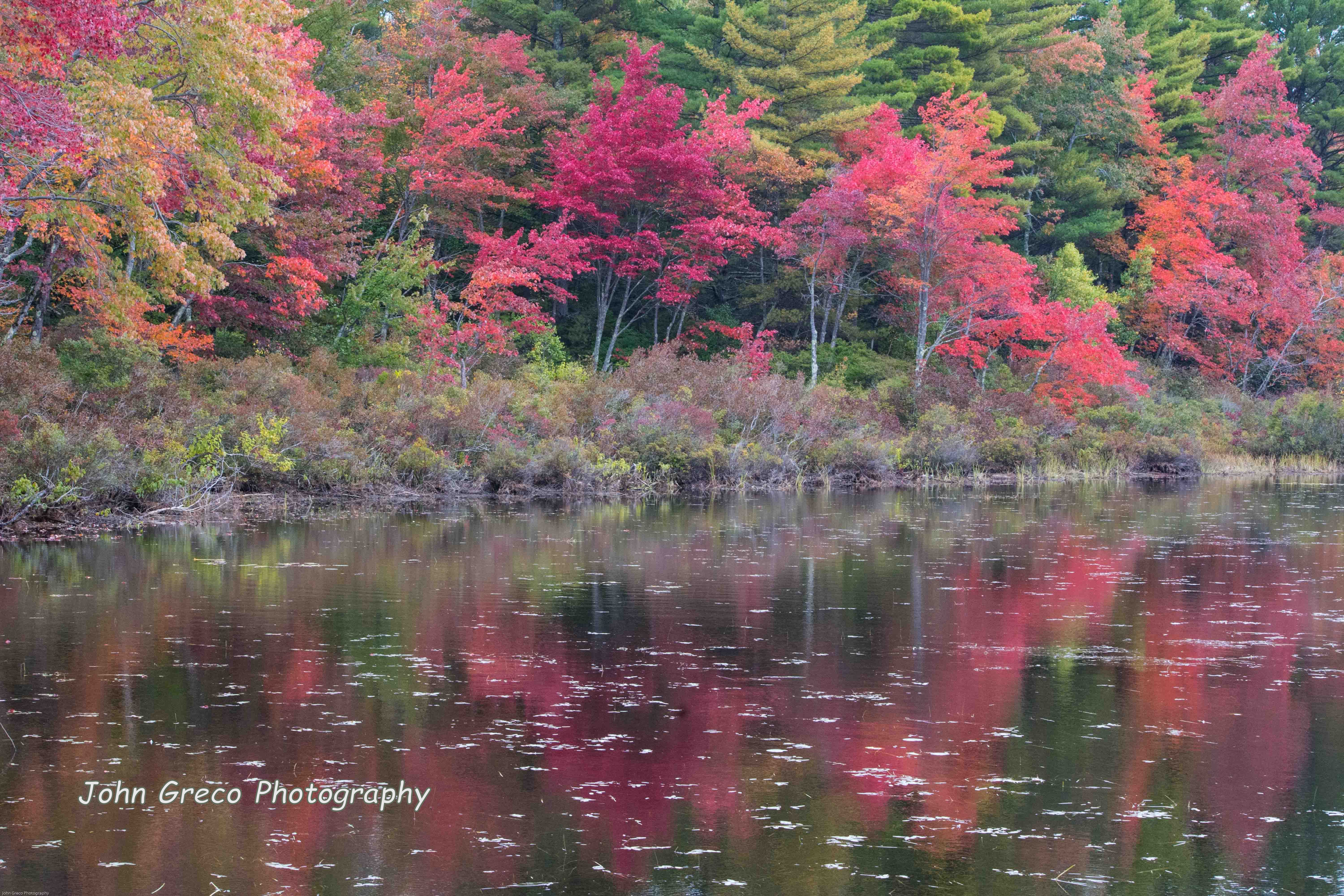 Autumn Reflection-CW-002