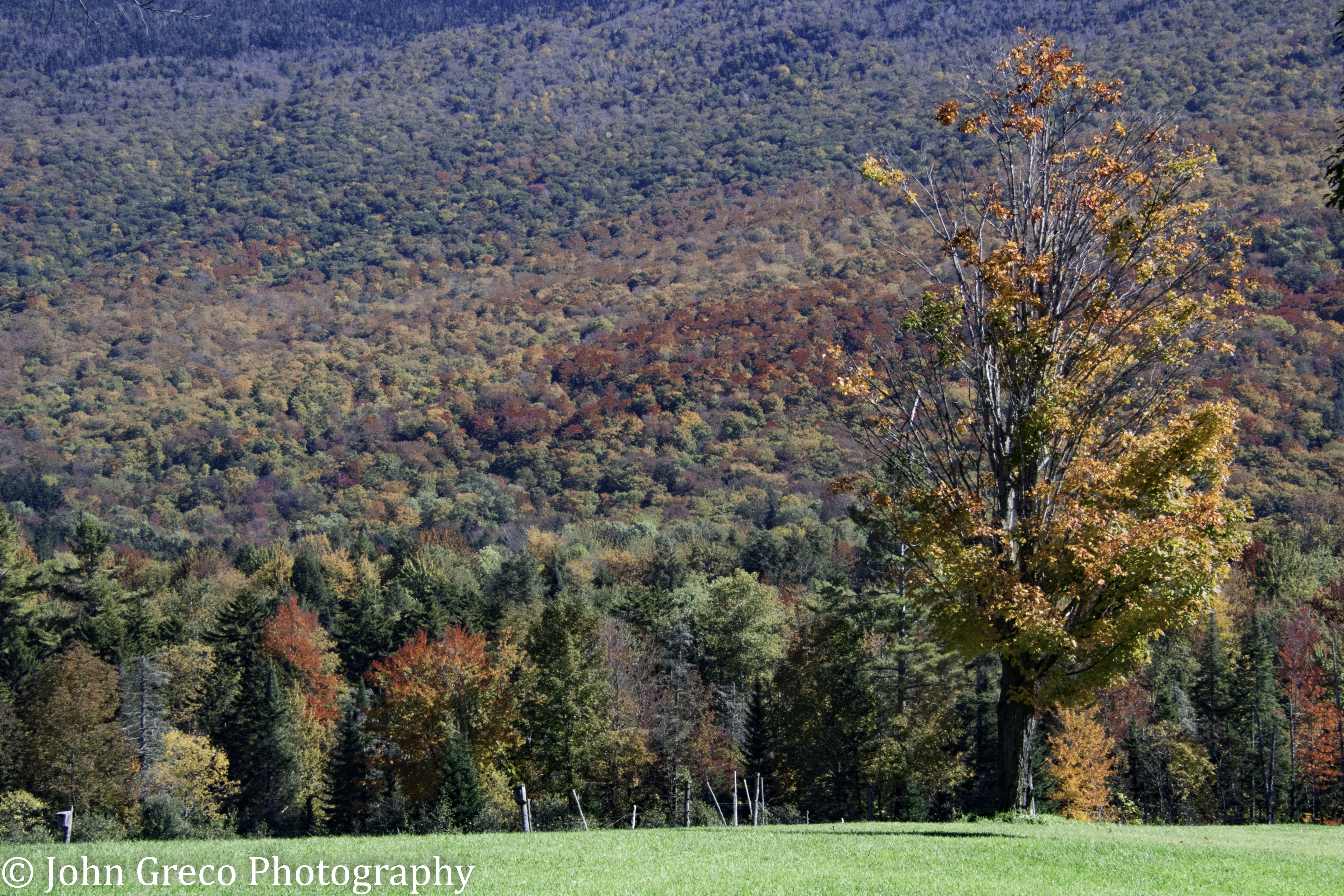 Autumn in Vermount 2 CW-0411