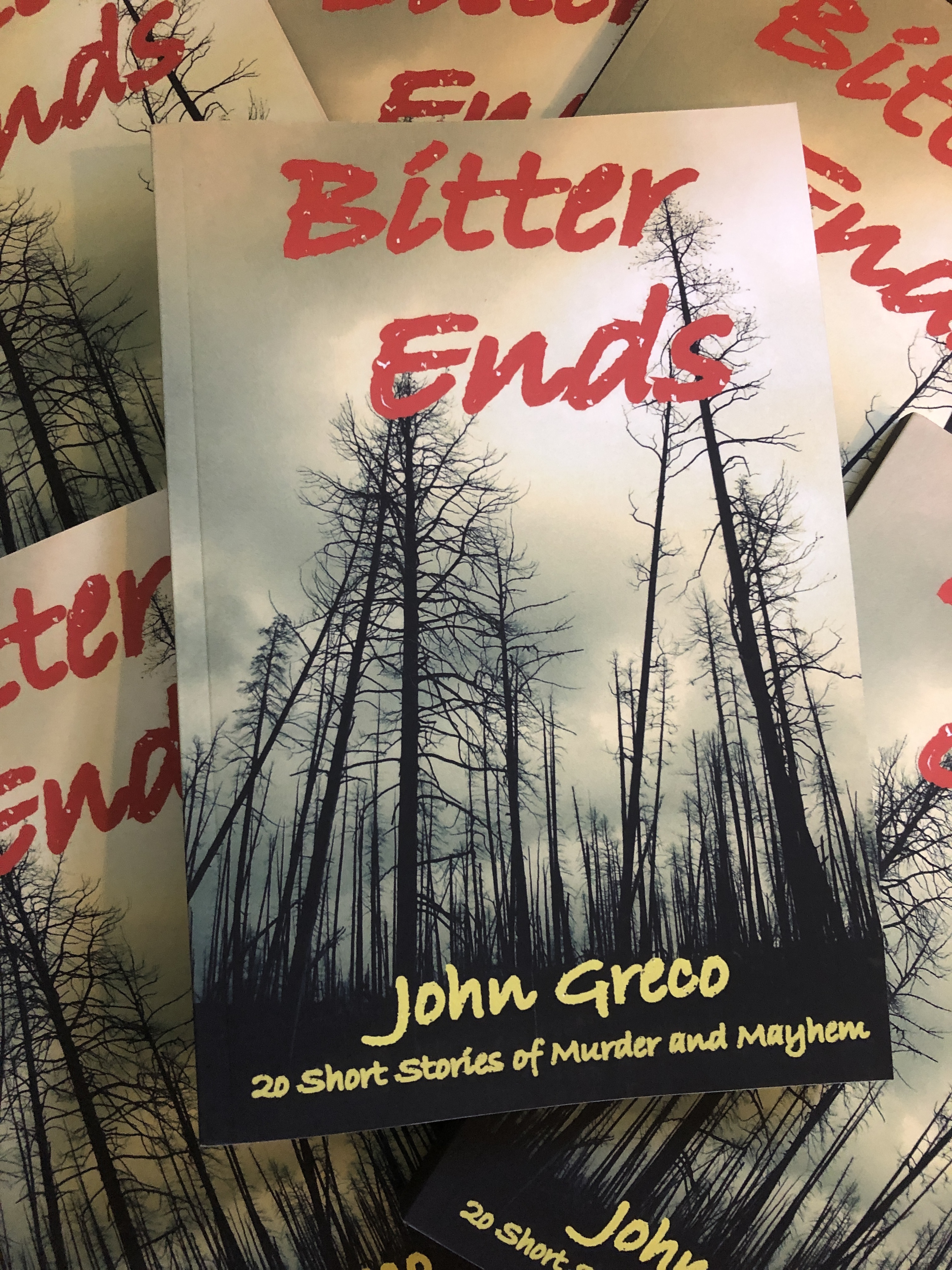 bitter ends paperback photo