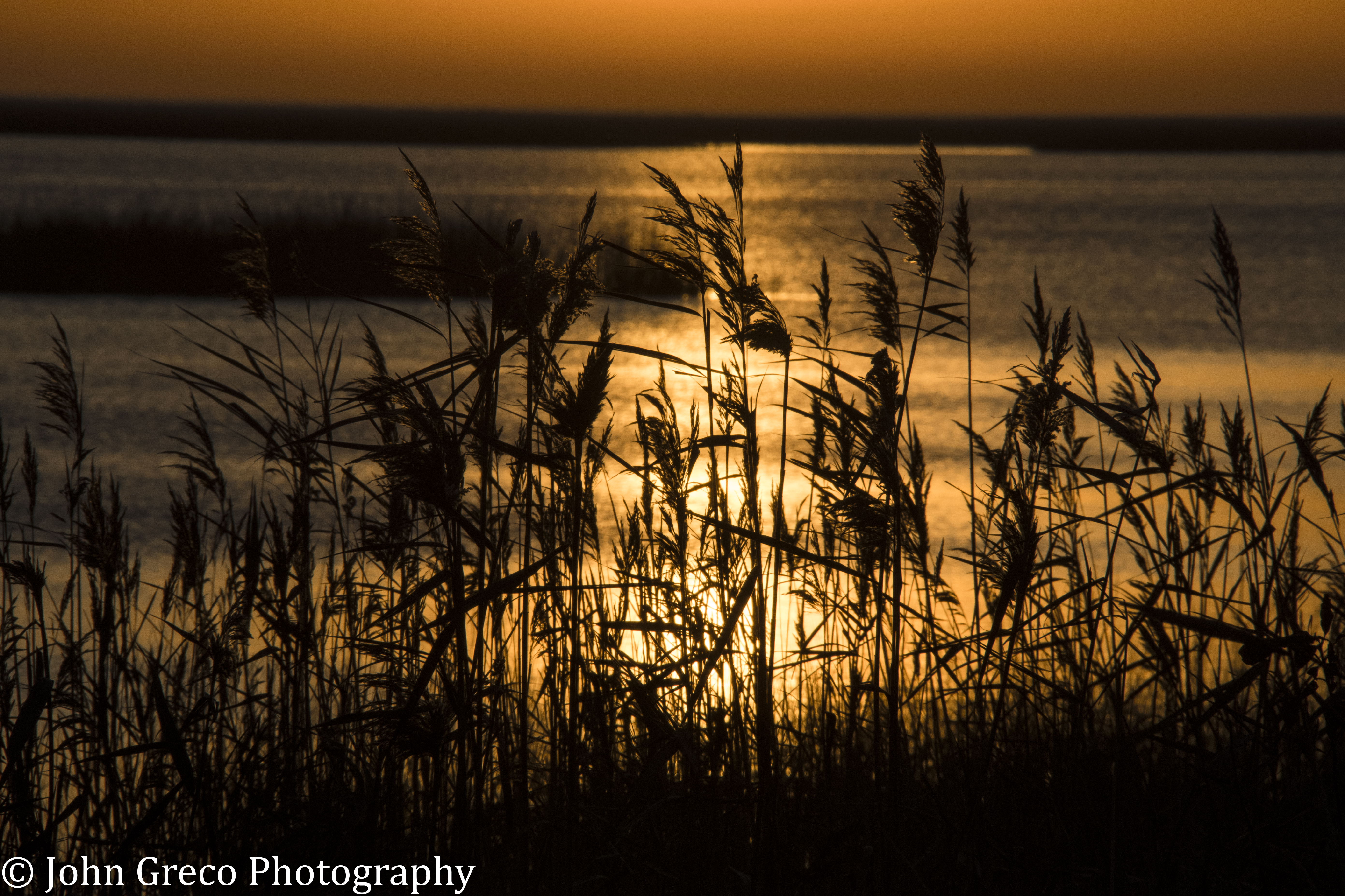 Sunrise Bombay Hook NWR Delaware CW-1572